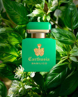 carthusia Intenso di Basilico parfum visual