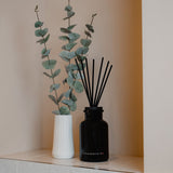 feuerstein essentials Raumduft-Set Domenic mood 3