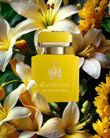 carthusia ginestra parfum visual