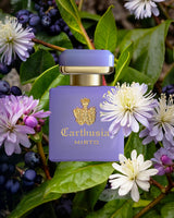 carthusia mirto parfum visual