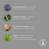 irene forte LAVENDER FOAM CLEANSER wirkstoffe