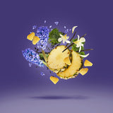 xerjoff V Purple Accento parfum ohne Diamanten visual