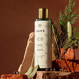 philip B Santa Fe Hair + Body Shampoo visual