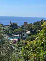 venti4 splendido parfum mood