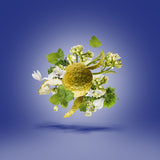 JTC Torino 23 xerjoff parfum inhaltsstoffe