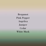 Angeliques sous la Pluie