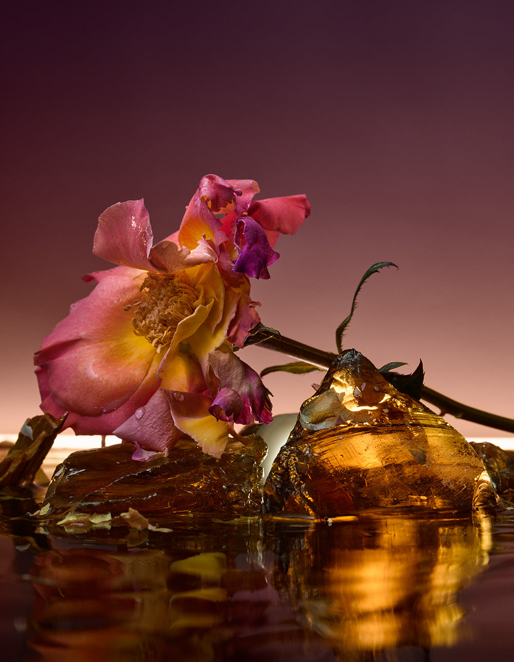 D'Orsay - Rose Blaze – Osswald