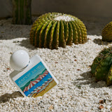 adamo beaumont sur mer parfum 