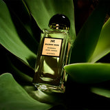 maison noir bohemia parfum visual