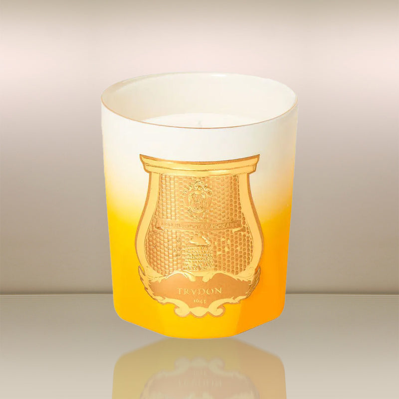 cire trudon de oro kerze
