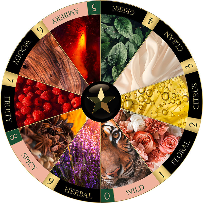 maison noir QUANDOLEY parfum  fragrance wheel