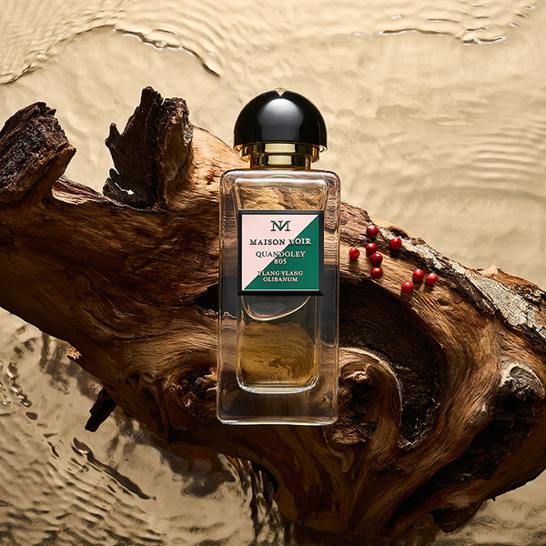 maison noir quandoley parfum visual