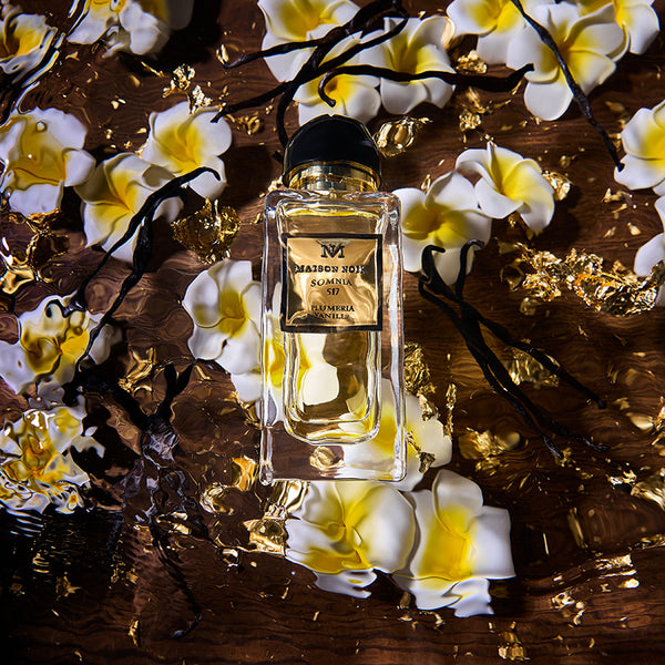maison noir somnia parfum visual