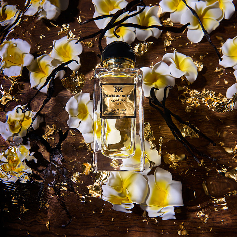 maison noir somnia parfum visual