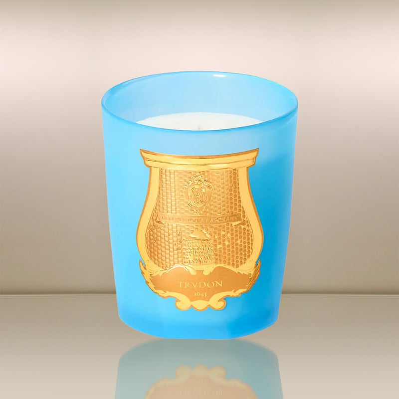 cire trudon versailles kerze