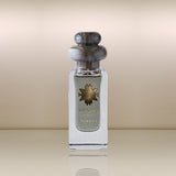 Venti 4 Vorrei Parfum